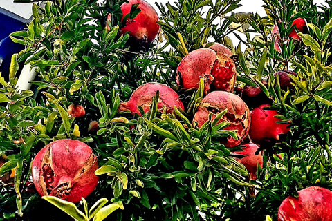 Arte urbano y visita a las cuevas de Granada