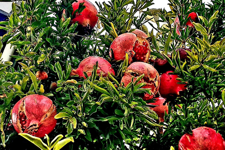 Arte urbano y visita a las cuevas de Granada
