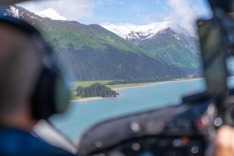 Bear Viewing Tour from Homer, Alaska