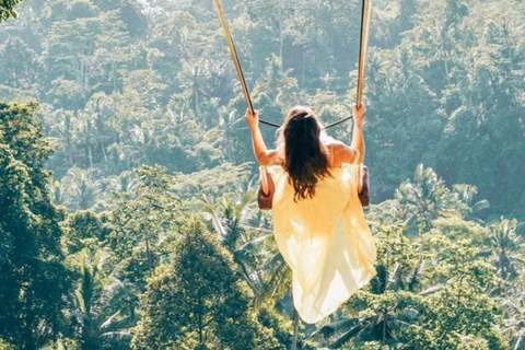 Ubud: Foresta delle scimmie, terrazze di riso, tempio e cascata PetanuUbud: Foresta delle scimmie, terrazze di riso, tempio e cascata di Petanu