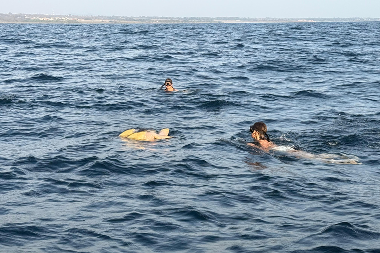 Puerto Escondido: Bootstour zu Delfinen und MeerestierenPrivate Tour