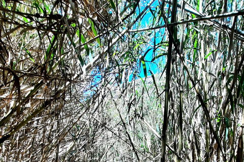 Gozo Unveiled Hiking: A Guided Hike Tour in Gozo- South East