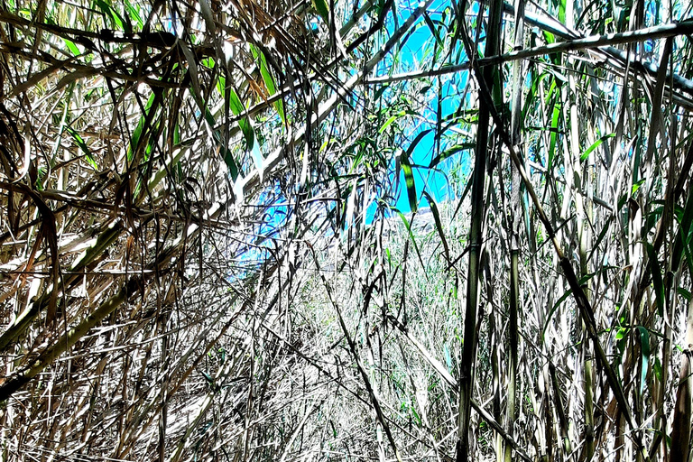 Gozo Unveiled Hiking: A Guided Hike Tour in Gozo- South East