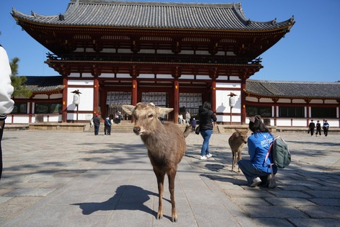Japan Wonders: A 10-Day Adventure Japan Wonders