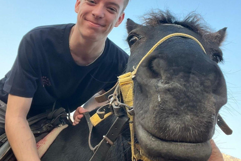 Fethiye Horse Safari Tour, Forest and Hisaronu View