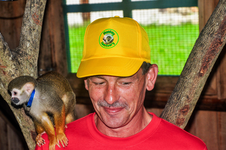 Punta Cana: Monkey Sanctuary, Farm & Cenote Swim Combo