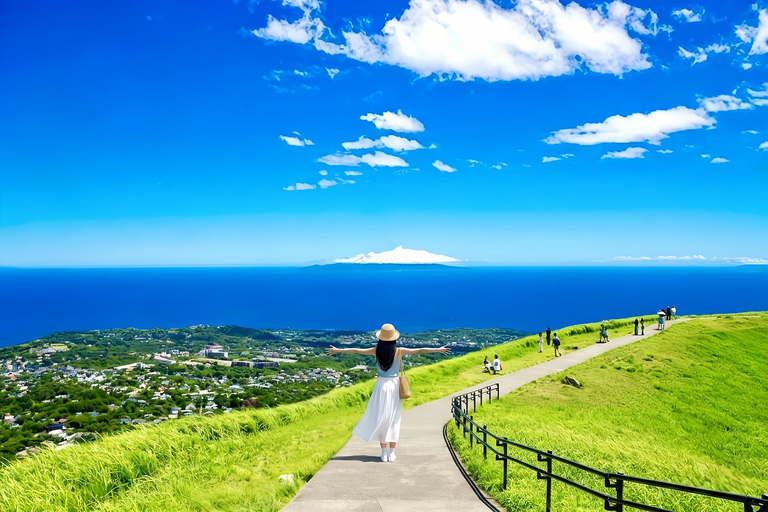 Small Group Day Tour:Omuro Mountain & the Izu Scenic Railway Hotel Transfer Option