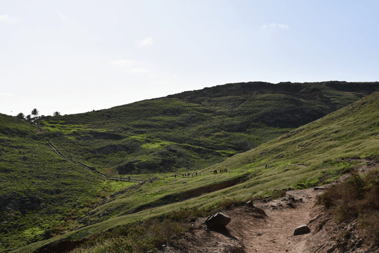 Ponta de São Lourenço-Hike by Overland Madeira