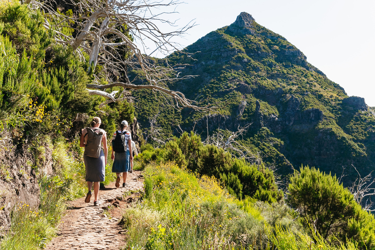 Zelfgeleide zonsopgangwandeling van Pico do Arieiro naar Pico RuivoWandeling bij zonsopgang