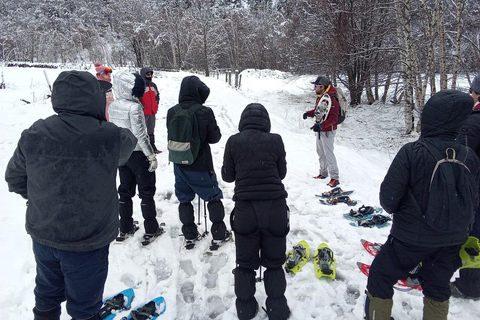 Cerdanya: Snowshoe tour through the forests and lakes of the Pyrenees