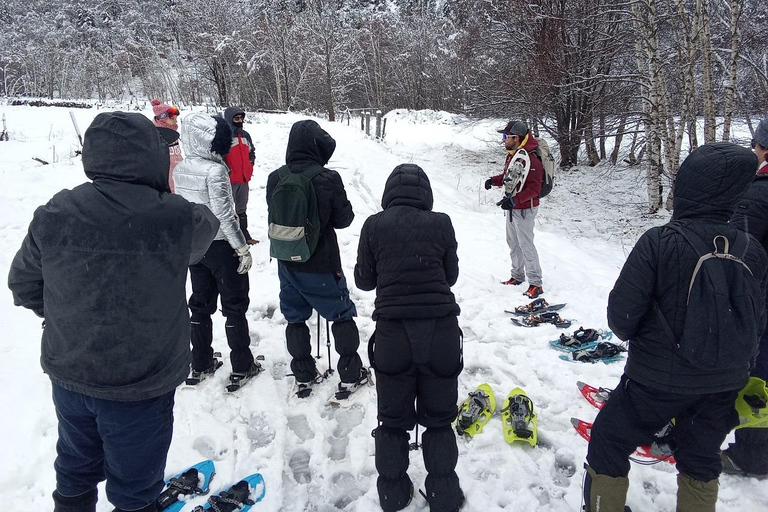 Cerdanya: Snowshoe tour through the forests and lakes of the Pyrenees