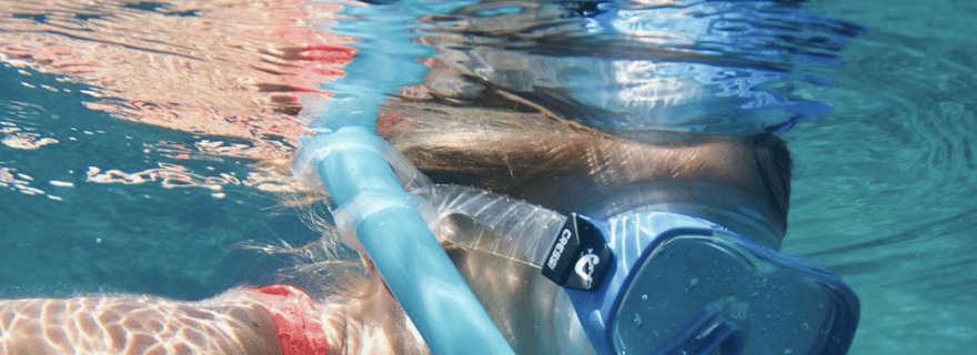 Port de Sóller : Visite guidée de plongée en apnée avec un guide professionnel