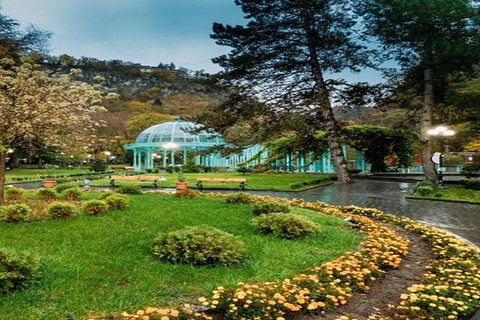 Vanuit Tbilisi: Borjomi en Bakuriani Tour