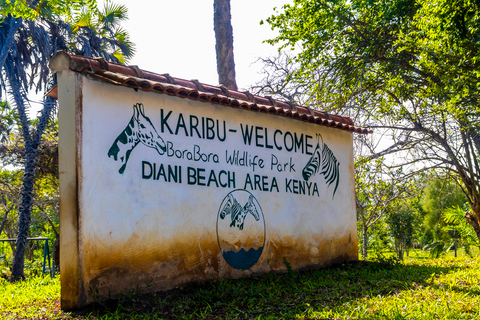 Exploring Nature's Treasures: A Private Day Trip in Diani Exploring Nature's Treasures: A Day Trip in Diani