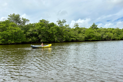 Fort Lauderdale: Kayak & Paddleboard Mangroves Eco Adventure