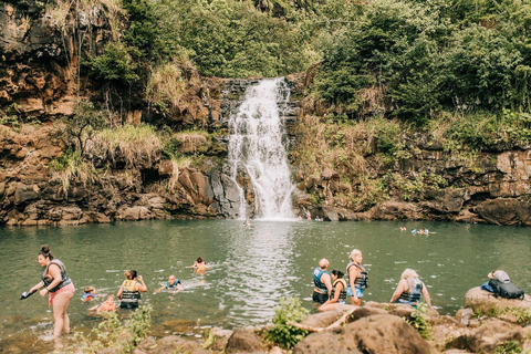 Oahu: Waimea Valley General Admission with Waterfall Access