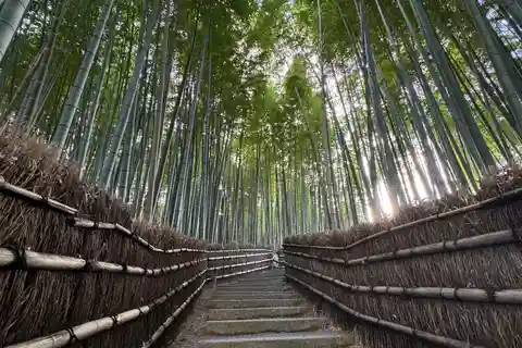 Kyoto : Promenade dans les profondeurs d'Arashiyama