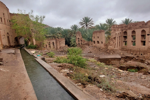 From Muscat: Nizwa & Jebel Akhdar Wonders Adventure Day Trip Nizwa, Birkat Al Mouz & Jebel Akhdar Sunset Experience