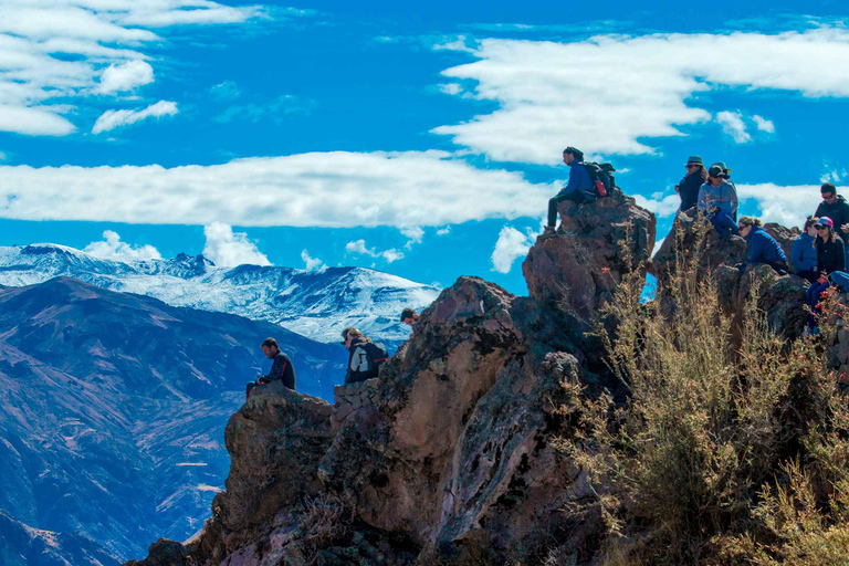 3-tägiges Colca Canyon Trekking ab Arequipa