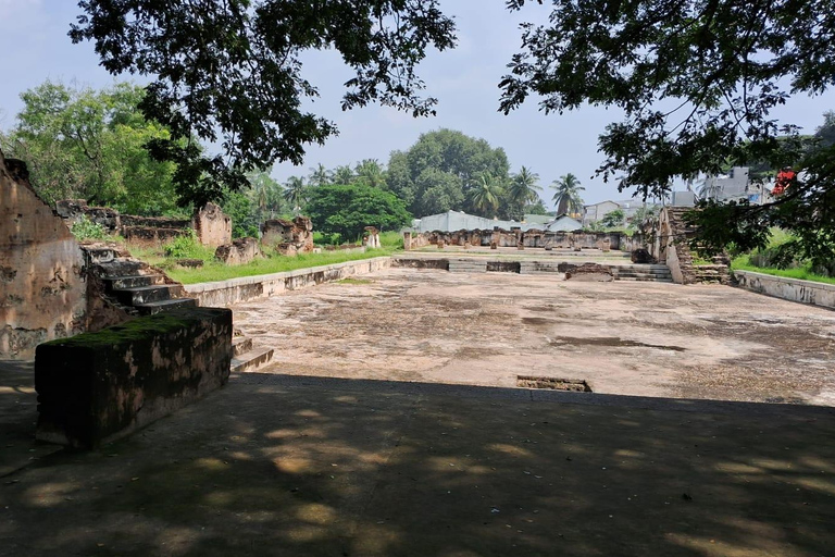 Depuis Bangalore : Excursion d&#039;une journée à Mysore et Srirangapatna avec guide