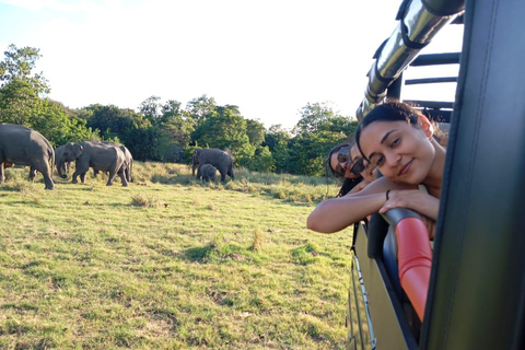 Minneriya: Nationalpark Jeep Safari von Sigiriya/DambullaVon Sigiriya aus: Minneriya National Park 4X4 Jeep Safari