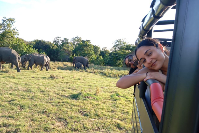 Minneriya: Nationalpark Jeep Safari von Sigiriya/DambullaVon Sigiriya aus: Minneriya National Park 4X4 Jeep Safari