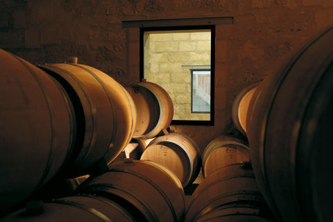 Saint-Émilion: Vineyard Tour and Wine Tasting