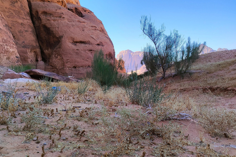 Wadi Rum: Nomadic Survival Skills, Sunset & Zarb Dinner