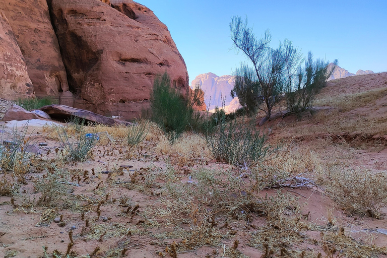 Wadi Rum: Nomadic Survival Skills, Sunset & Zarb Dinner