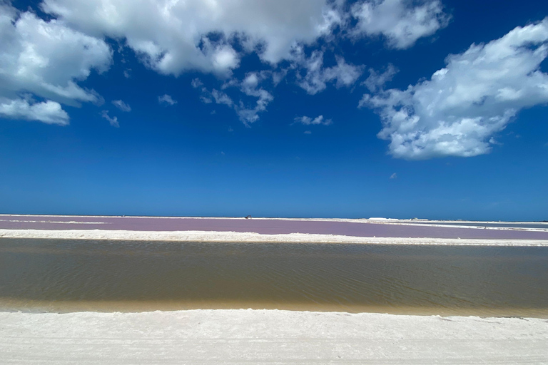Natuurbelevenis Rio Lagartos en Las Coloradas.