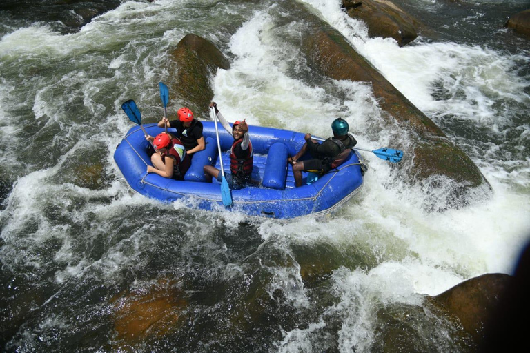 Kitulgala: Zipline Adventure Over the Rainforest with Pickup