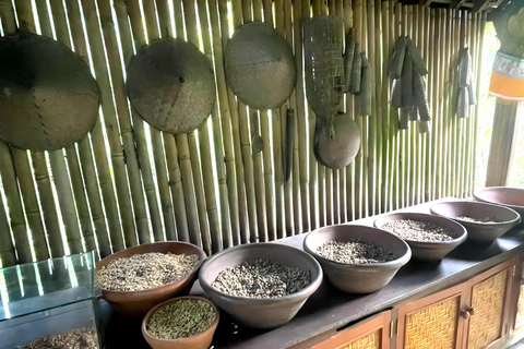 Ubud Half-Day Highlights Tour with Flexible Midday Pickup
