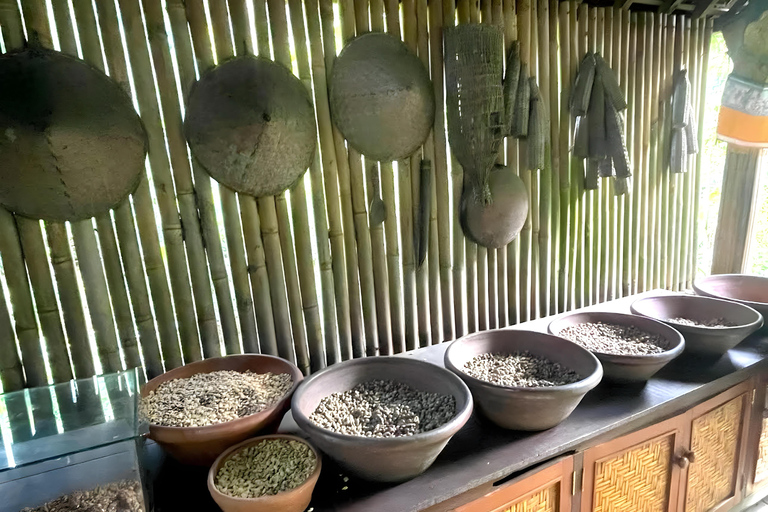 Ubud Half-Day Highlights Tour with Flexible Midday Pickup