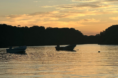 Turtle Night Tour in Isla Cañas