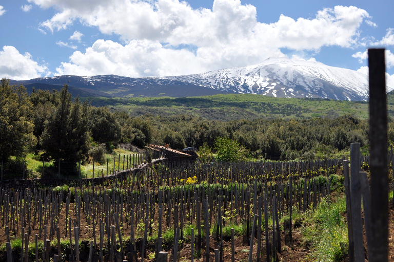 Etna Quad & Wine Combo Private Tour 1 Quad Per Person
