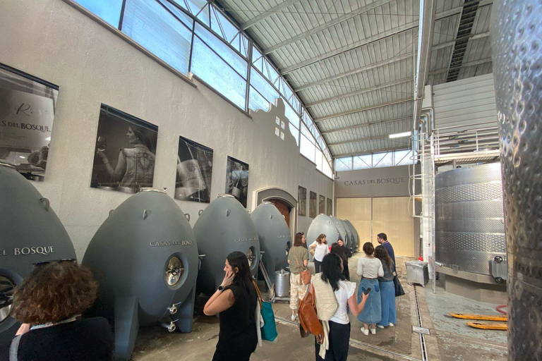 Farellones and Casablanca Valley: Private Mountain Tour and Premium Wines