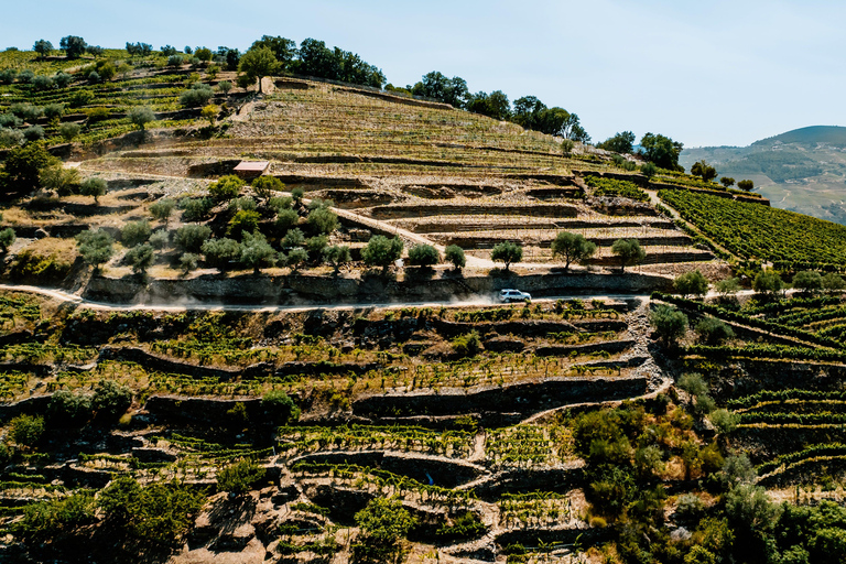 Porto : visite privée en jeep de la vallée du Douro avec déjeuner