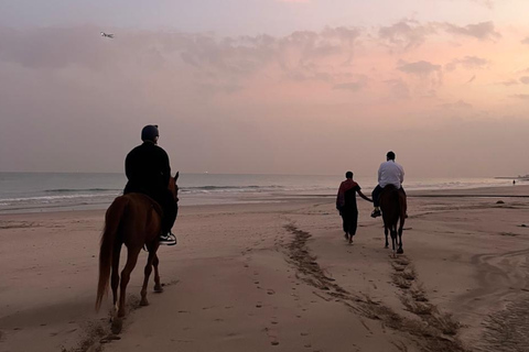 From Muscat: Horse Riding by the Beach