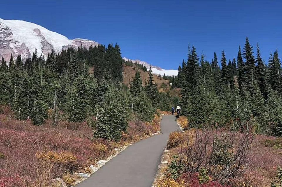 Mount Rainier National Park 1-Day Tour from Seattle - Housity