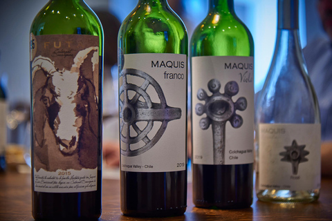 Colchagua Valley: Private Tour