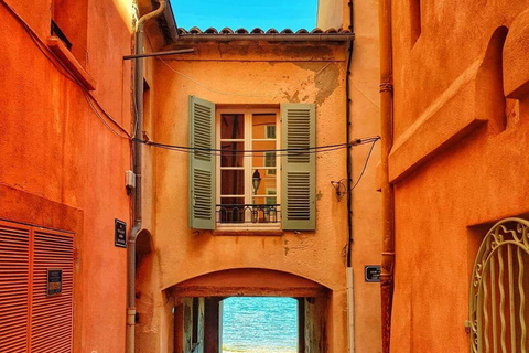 Nice: Walking Tour with Licensed Guide Shared Walking Tour of Nice with "Licensed Guide"