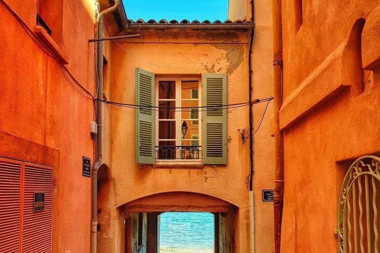 Nice: Walking Tour with Licensed Guide Shared Walking Tour of Nice with "Licensed Guide"