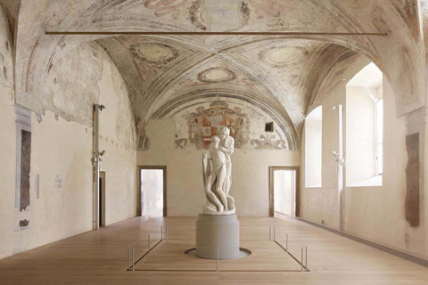 Guided Tour: Discover Sforza Castle and Michelangelo's Art