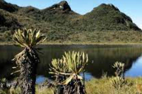 MEDELLIN: DAWN GARDEN TOUR WITH VISIT TO BETANIA - 2 DAYS AND 1 NIGHT