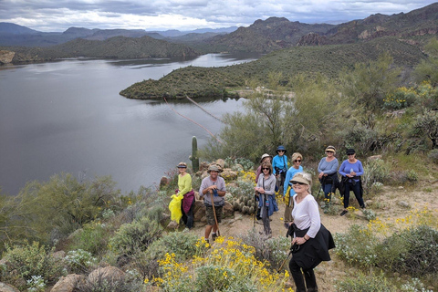 Mesa: Saguaro Lake View Hike