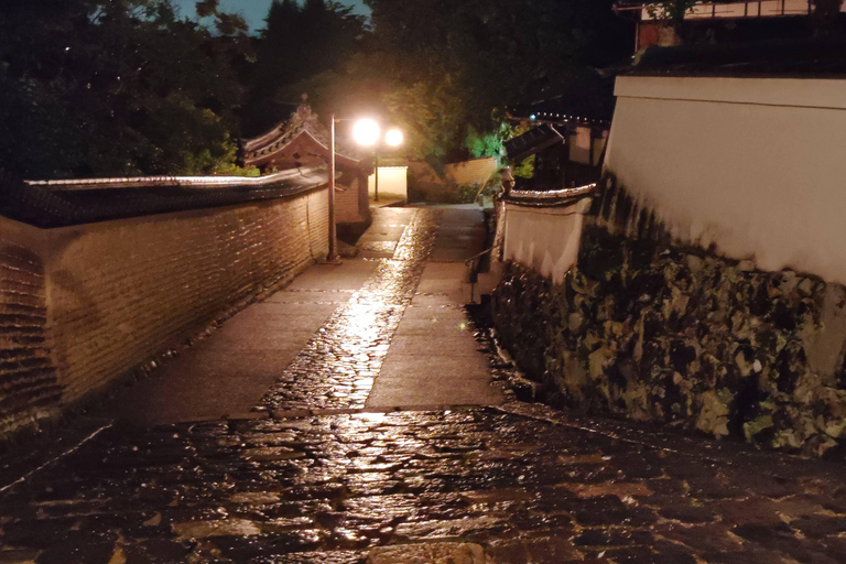 Nara: descubre la belleza atemporal en un tranquilo paseo nocturno.Nara: descubre la belleza atemporal en un tranquilo paseo nocturno