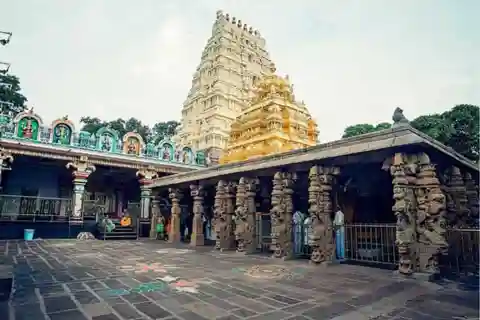 Day Trip to Srisailam (Guided Private Tour from Hyderabad)