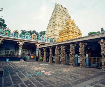 Day Trip to Srisailam (Guided Private Tour from Hyderabad)