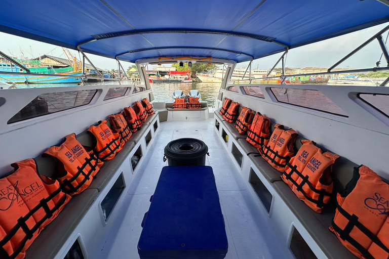 Phuket: Phi Phi & Khai Island Island, Maya Bay with Lunch Pickup from Patong, Kata, Karon and Phuket town area