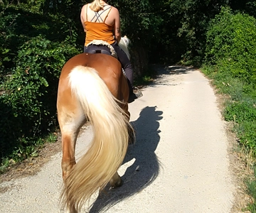 Casentino: Passeio a cavalo com vista para o Santuário de Verna